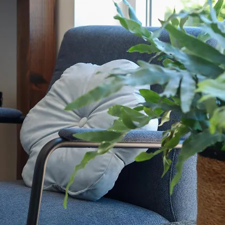 De Bodderie Couette-café Nieuwland (Vijfheerenlanden)